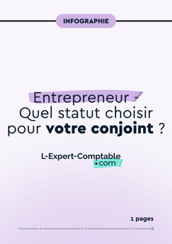 infographie-entrepreneur-quelstatutchoisirpourvotreconjoint